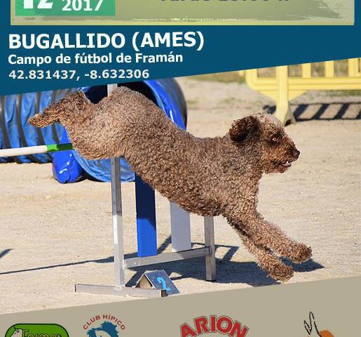 95ª y 96ª Pruebas de la Liga de la Federación Galega de Agility