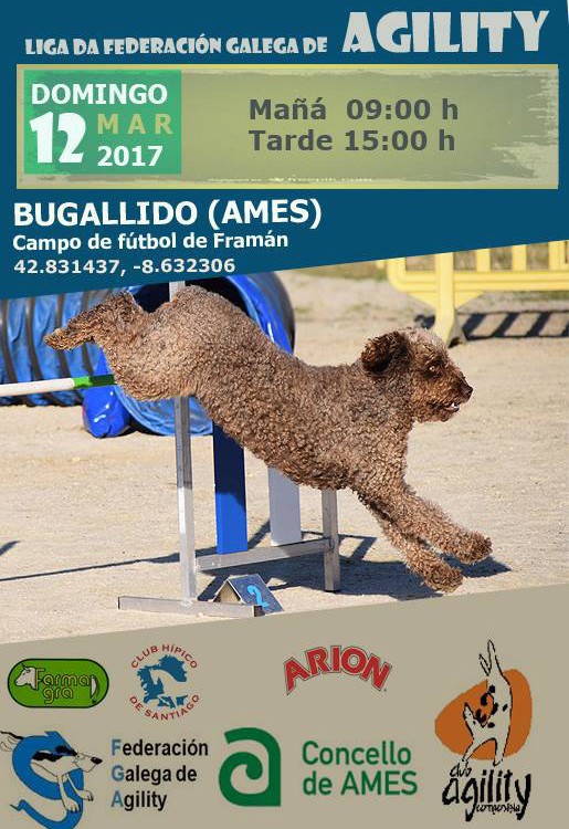 95ª y 96ª Pruebas de la Liga de la Federación Galega de Agility